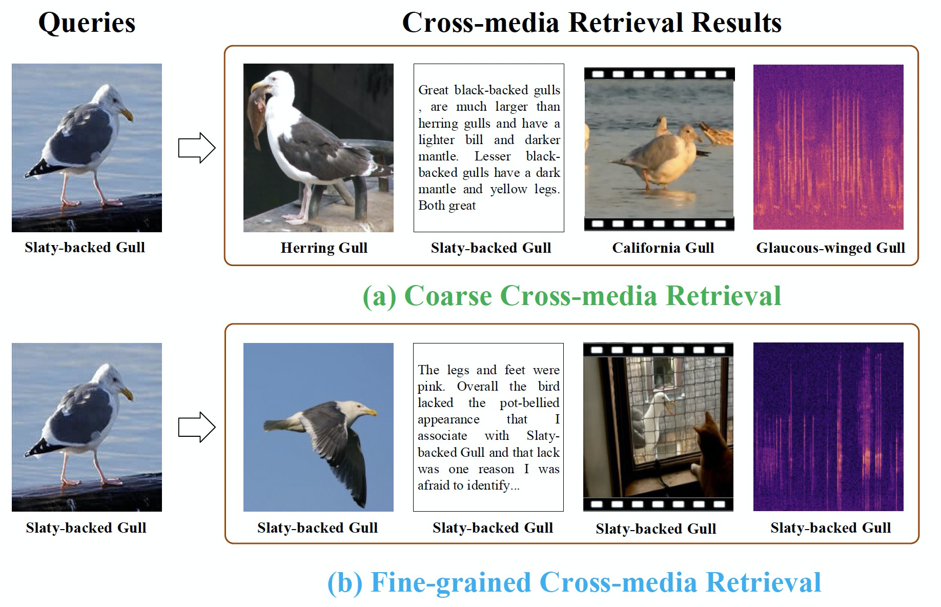 FG-XMedia paper figure